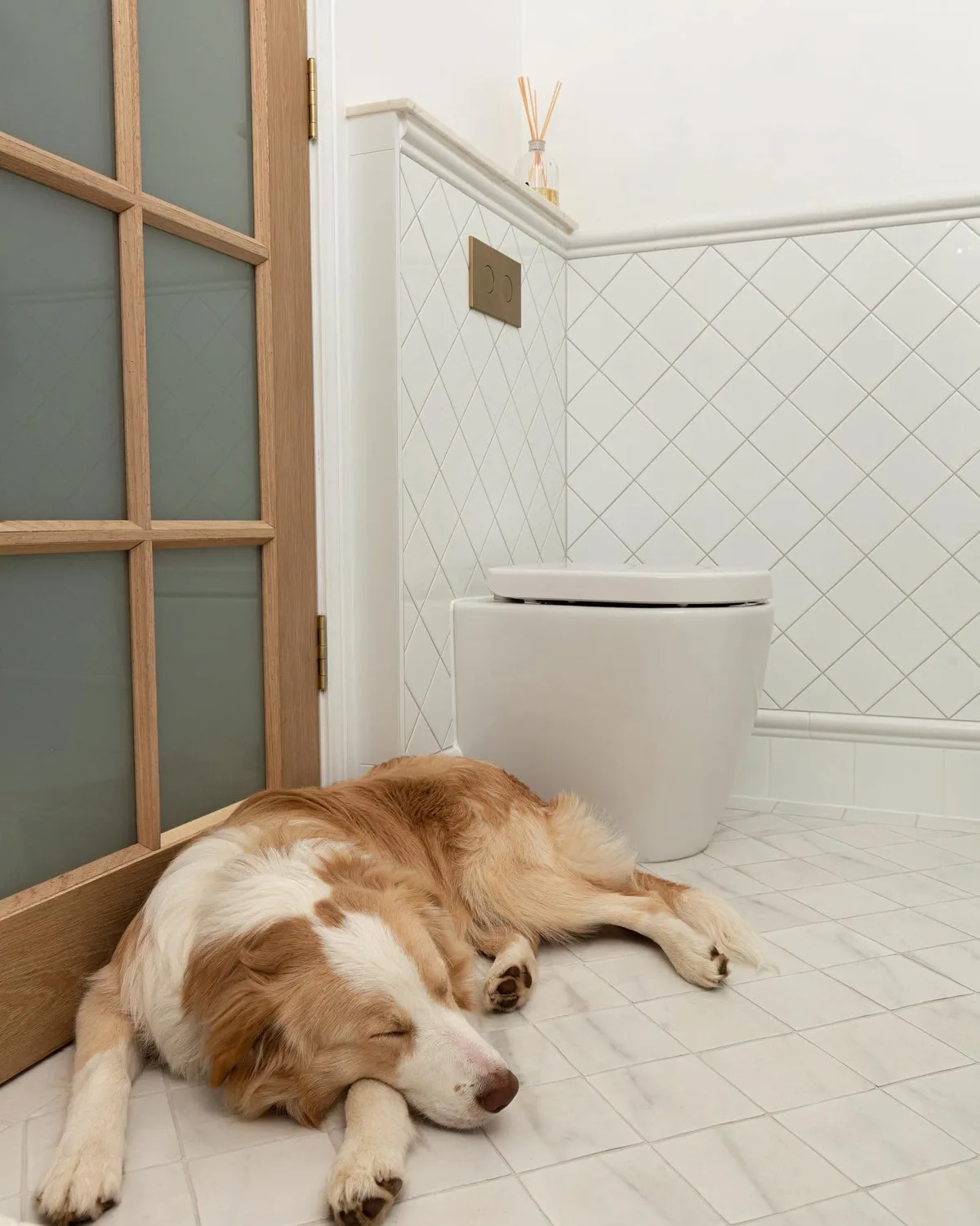 Family Bathroom — feature work in Hackham, SA by Becks Bathrooms and Tiling